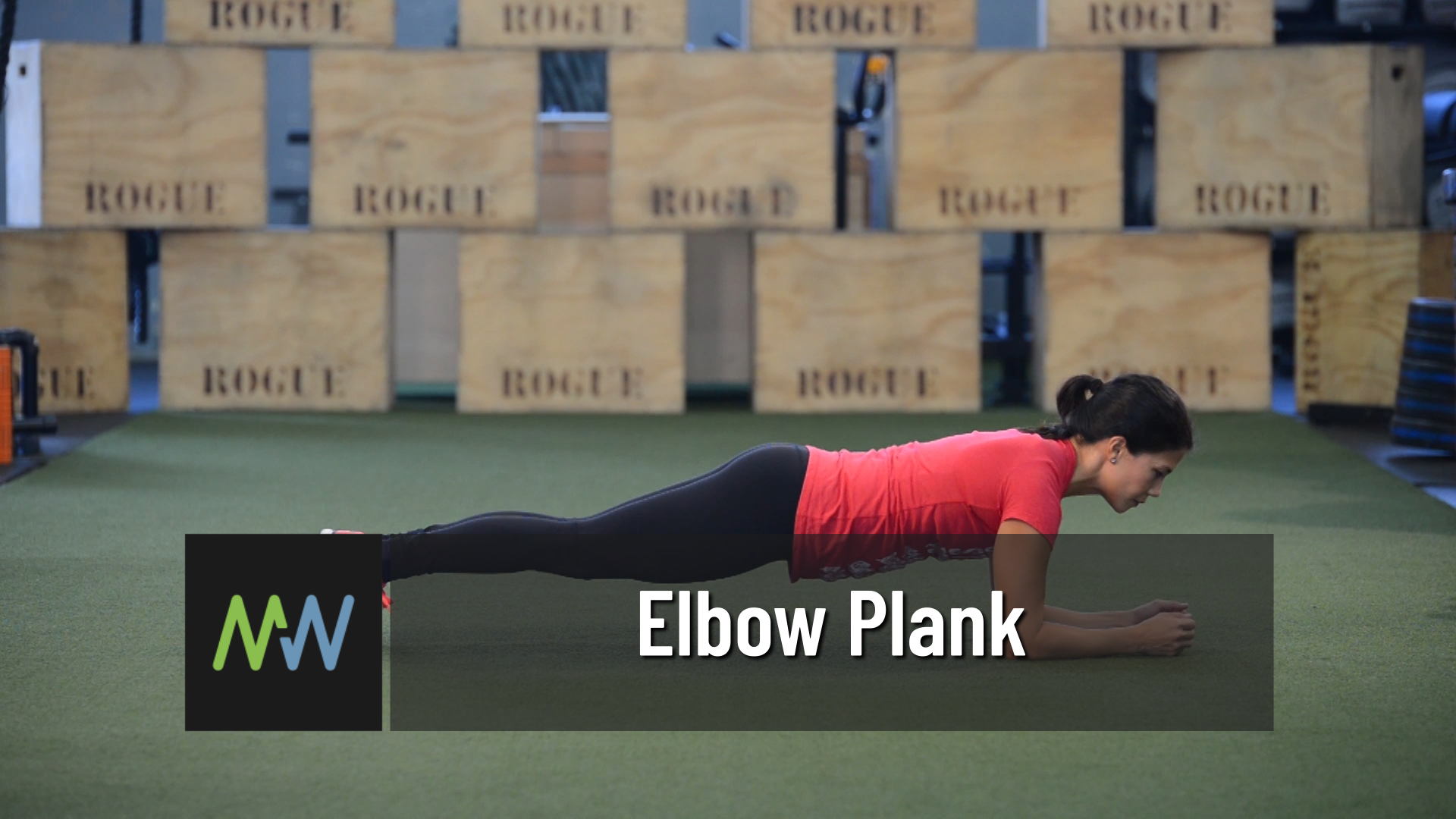 Elbow Plank