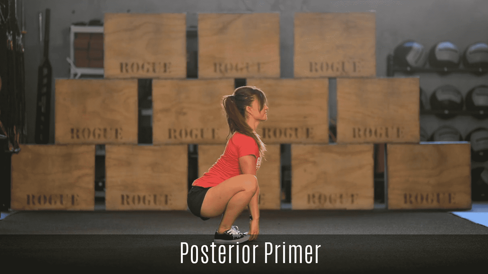 posterior-primer