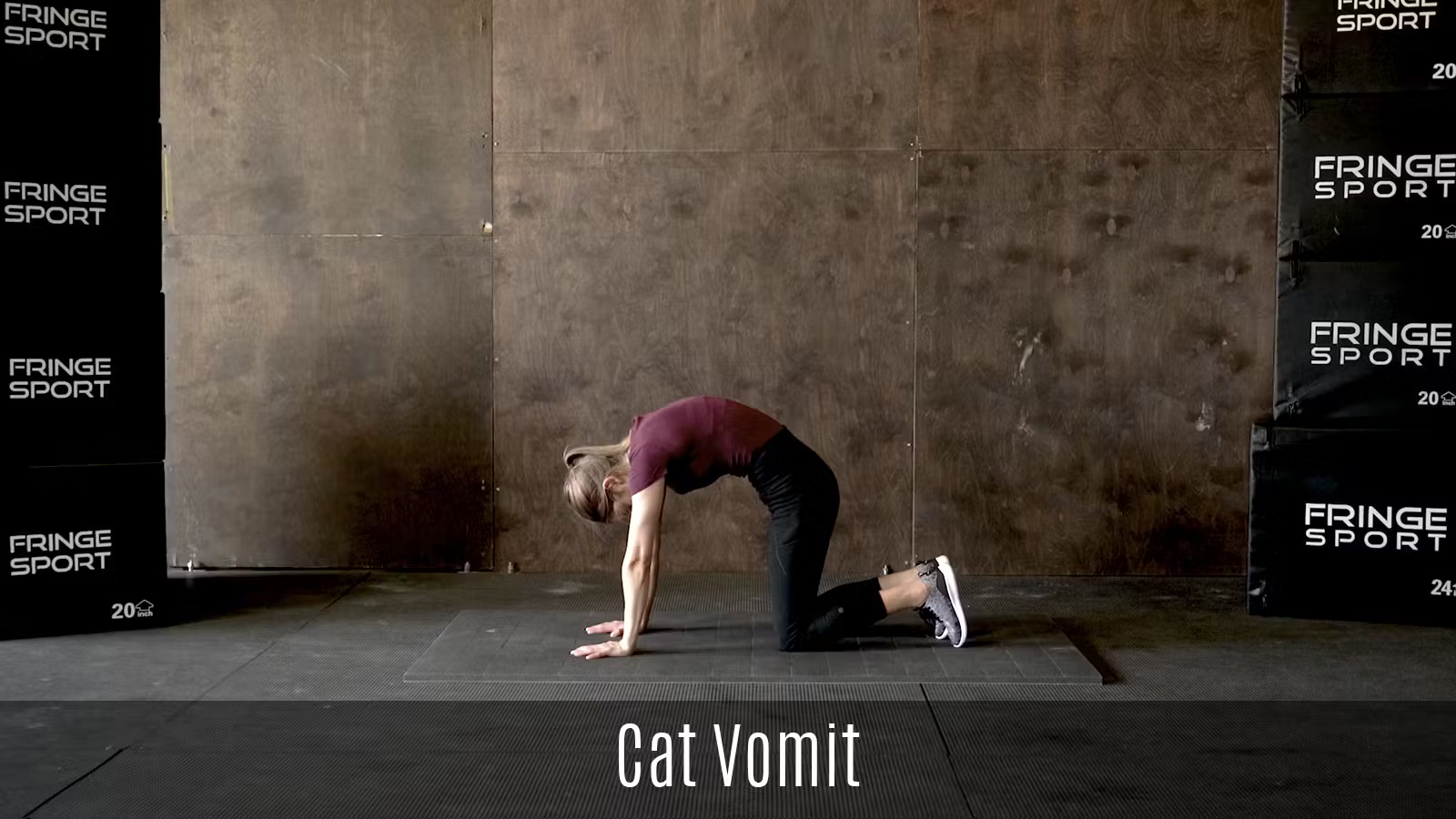 Cat Vomit