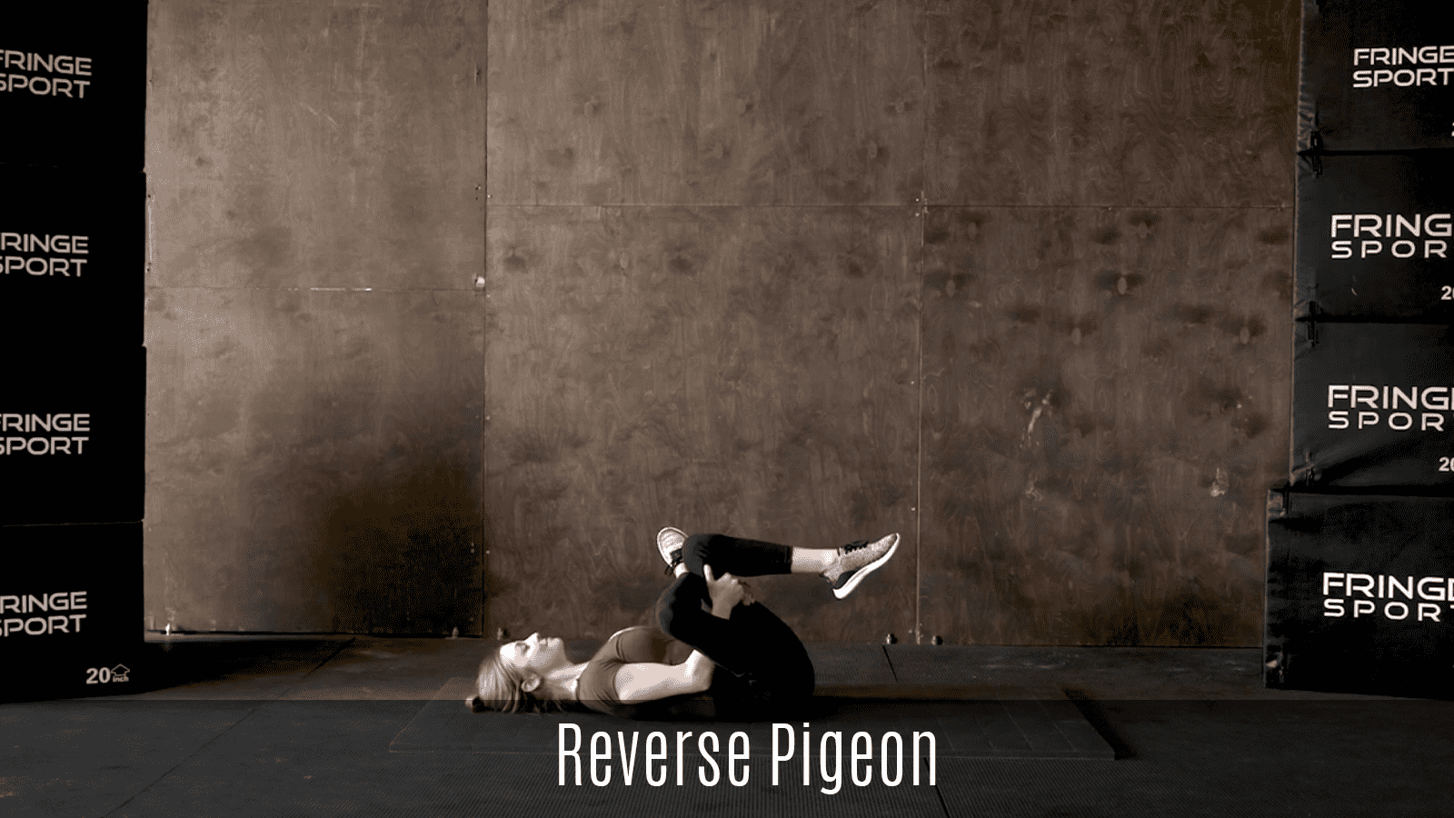 revere-pigeon